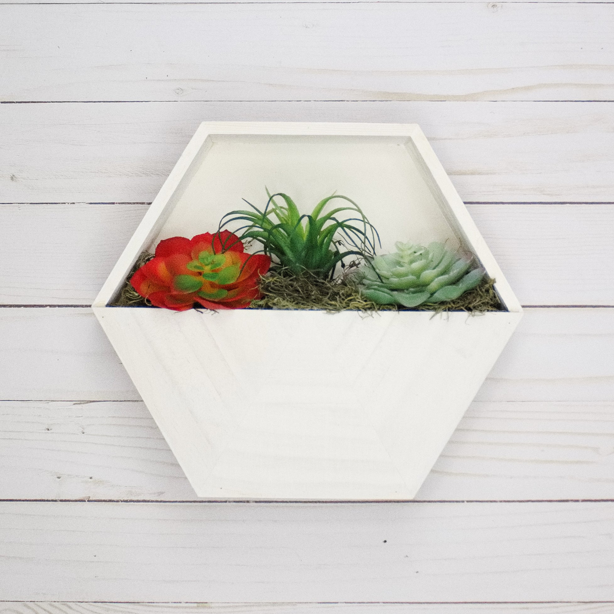 hexagon succulent planter DIY Hexagon Succulent Planter Kit – Home Made Luxe