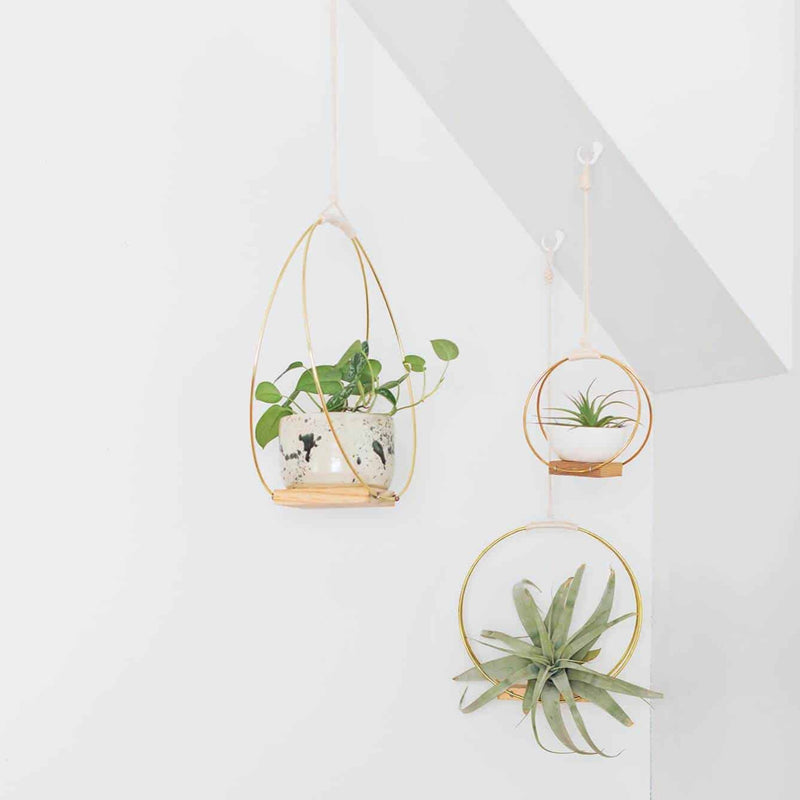 Hanging Planter Shelf Trio